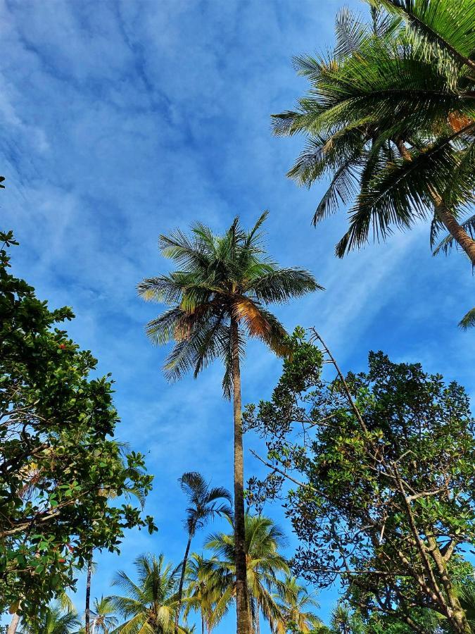 Apto Pe Na Areia Praia Das Pitangueiras - Centro Guarujá Buitenkant foto